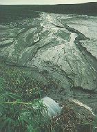 Erosion carries away nutrient-rich soil layers