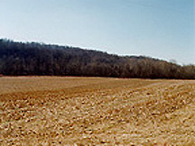 Farm