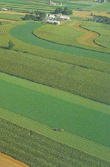 An aerial view of fields under rotation.