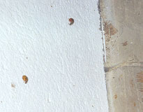 a couple of our frequent guests