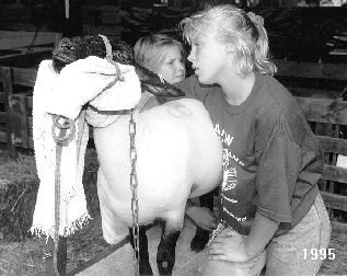 Girl tending to sheep