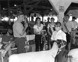 Judging of girl's sheep