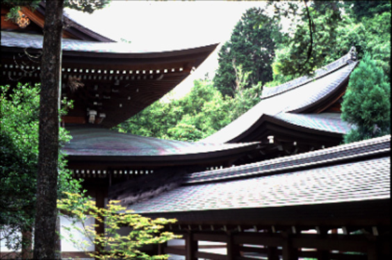 Ryoanji roofs