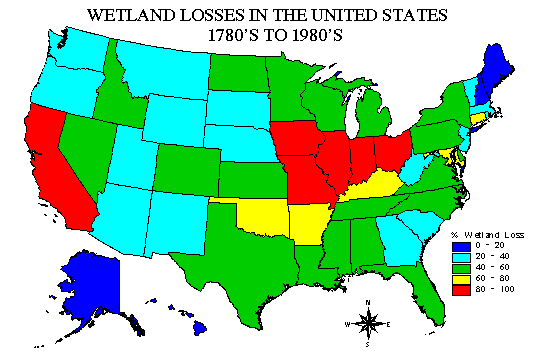 From Dahl, T.E. 1990. WETLAND LOSSES IN
THE UNITED STATES 1780'S TO 1980'S. U.S. Department fo the Interior, Fish and Wildlife Service, Washington, D.C. 13pp.