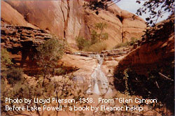 Photo by Lloyd Pierson, 1958.  The Colorado River through Glen Canyon Before Lake Powell; Historic Photo Journal