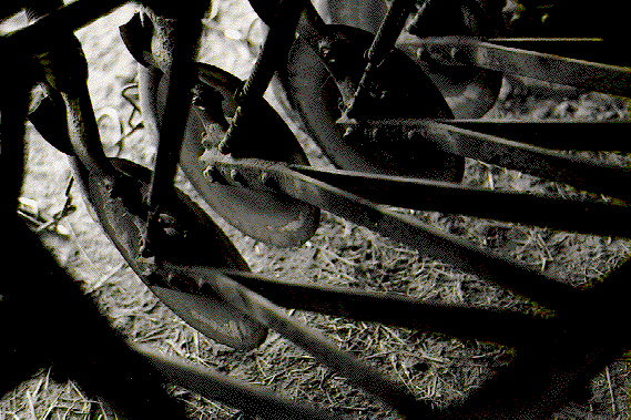 This is a picture of a discer used in 
reduced-till farming