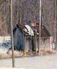 Maple Syrup House