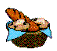 bread