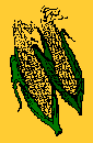 corn icon=click here!
