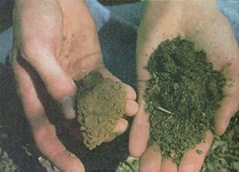 Compacted soil photo