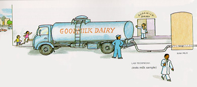 Milk processing 1