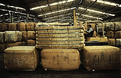 Wool bales