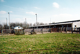 Producers Livestock Association