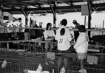 Knox County Fair, 1994b