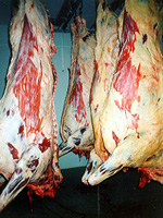 Hanging beef carcass