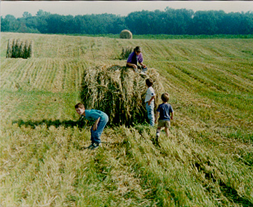 Children playing on hay