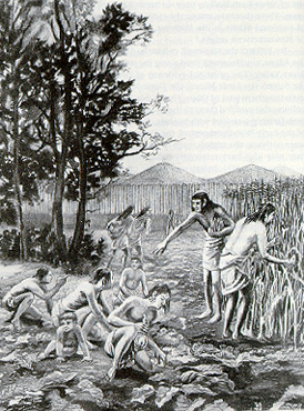 Native American Farming