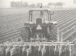 A farmer cultivates his plot using ridge tillage