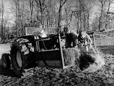 Farmers moving hay